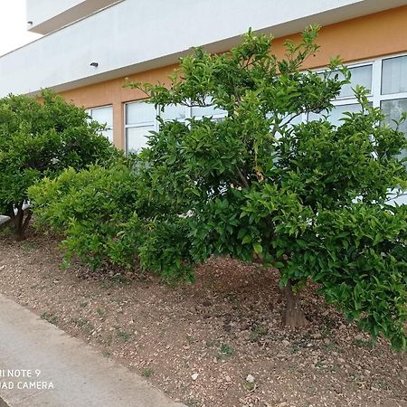 Studio Apartment With Balcony Trogir Exterior photo